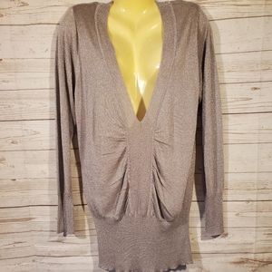 Like New Torrid Silver Shimmery Top